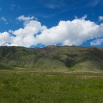 Уймонская долина, Алтай: трава и небо