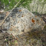 Уймонская долина, Алтай: придорожный камень