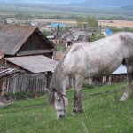 Уймонская долина, Алтай: деревня